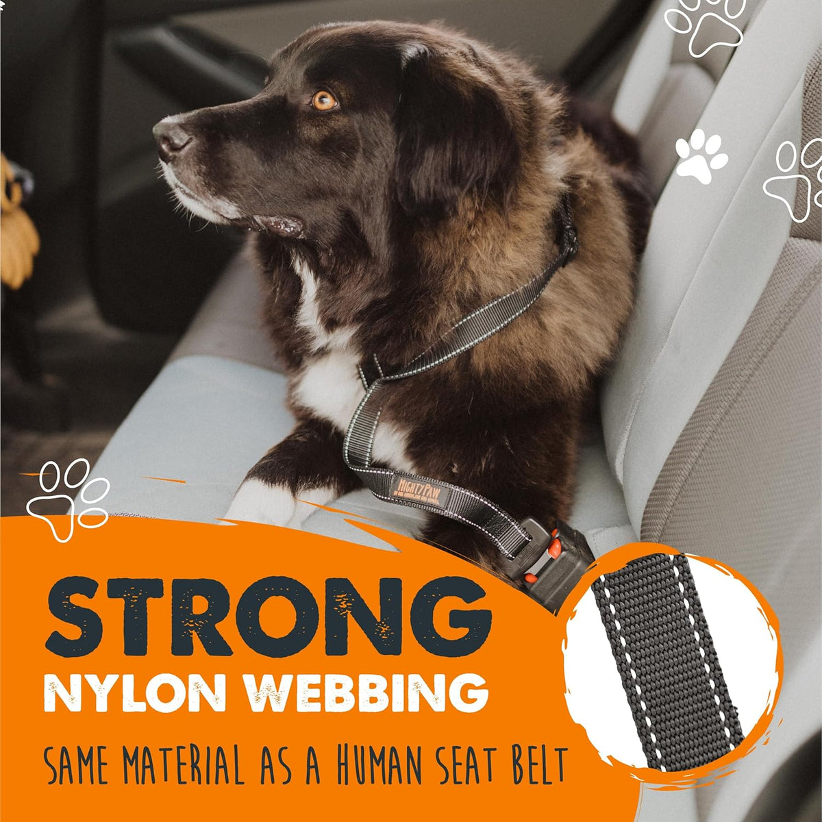 Dog Seat Belt | Pet Safety Belt, Created with Human Seatbelt Material. All-Metal Hardware with Adjustable Length Strap. Exceeds Dog Safety Standards. Keep Your Dog Secure in the Car