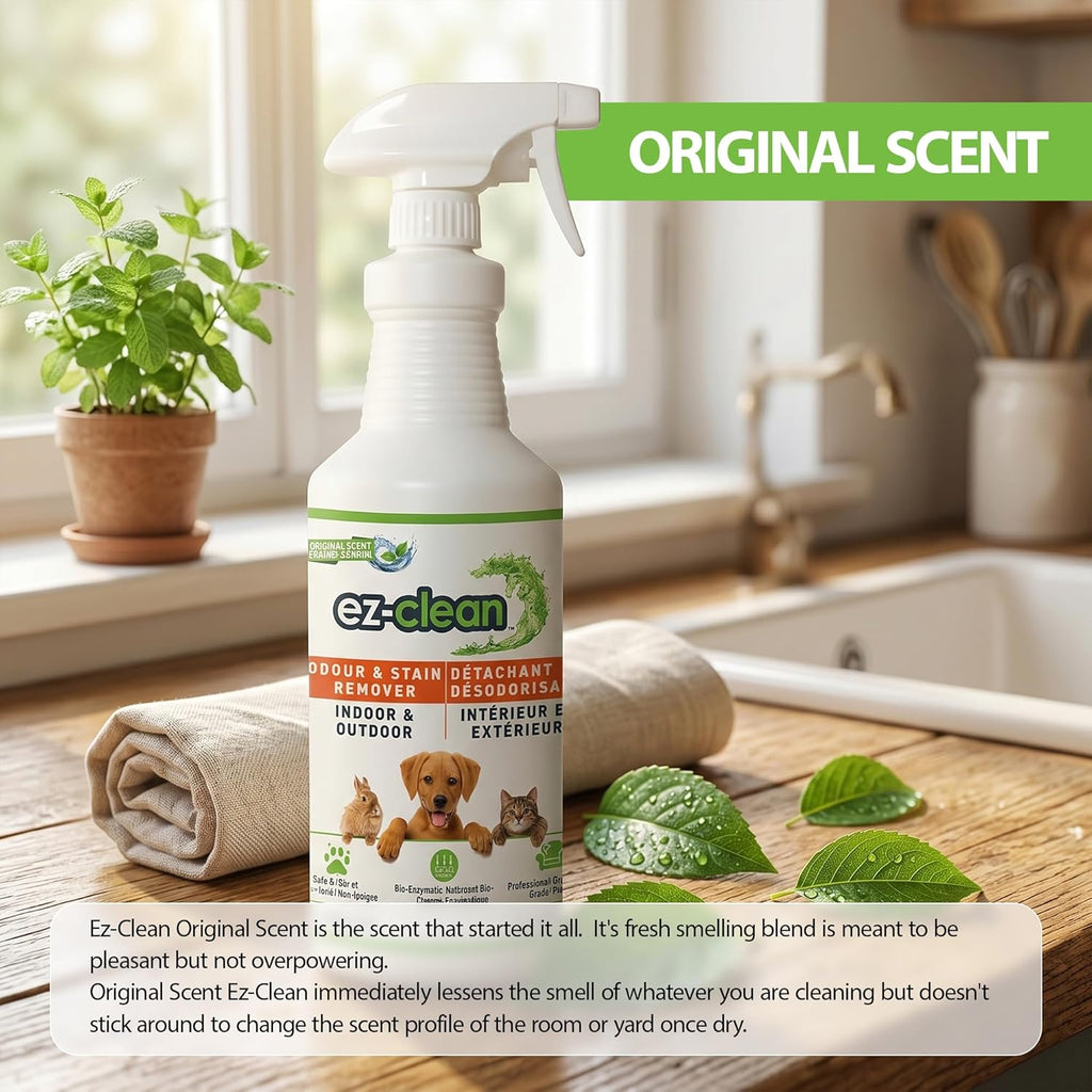 Bioenzyme Odour & Stain Remover - 1 L Spray - Original Scent