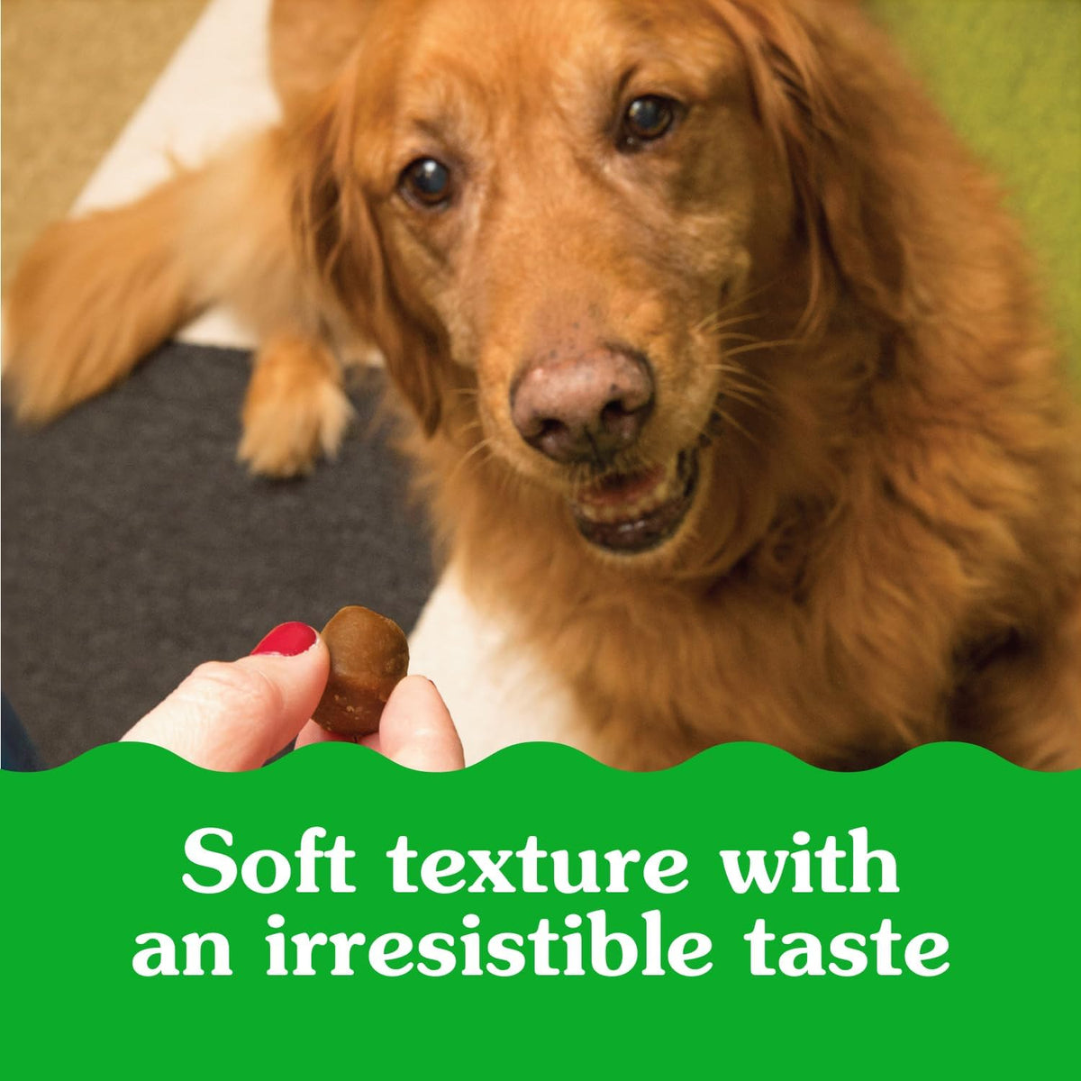 PILL POCKETS Dog Treats Capsule Size Chicken Flavour 30 Count, 90G