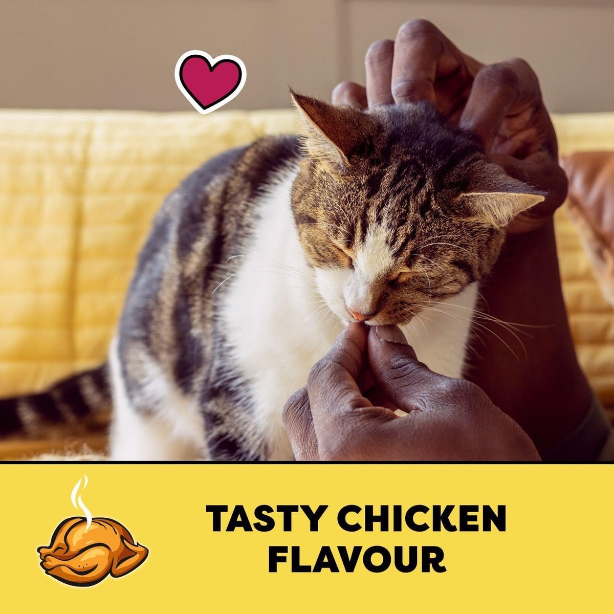 Adult Cat Treats, Chicken Flavour, 454G Tub