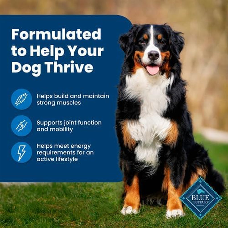 Life Protection Formula Chicken & Brown Rice Adult Dry Dog Food, Supports Immunity with Antioxidant-Rich Lifesource Bits, Promotes Healthy Muscle Development, 11.7Kg/26Lbs