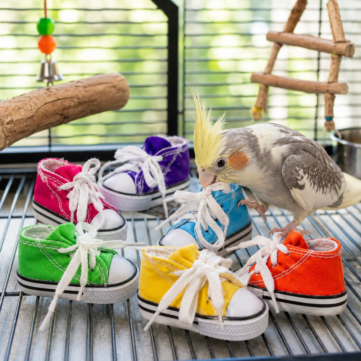 6 Mini Sneaker Bird Toy Parrot Craft Cage Craft Toys Cages Small Dog,Cat Pet Cockatiel,African Grey,Cockatoo