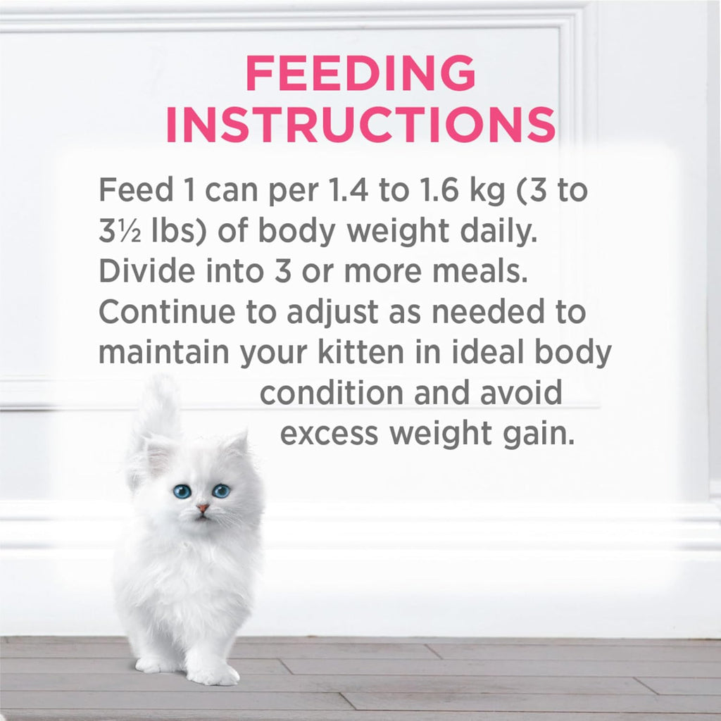 Wet Kitten Food Variety Pack 2 Flavours - 85 G (12 Pack)