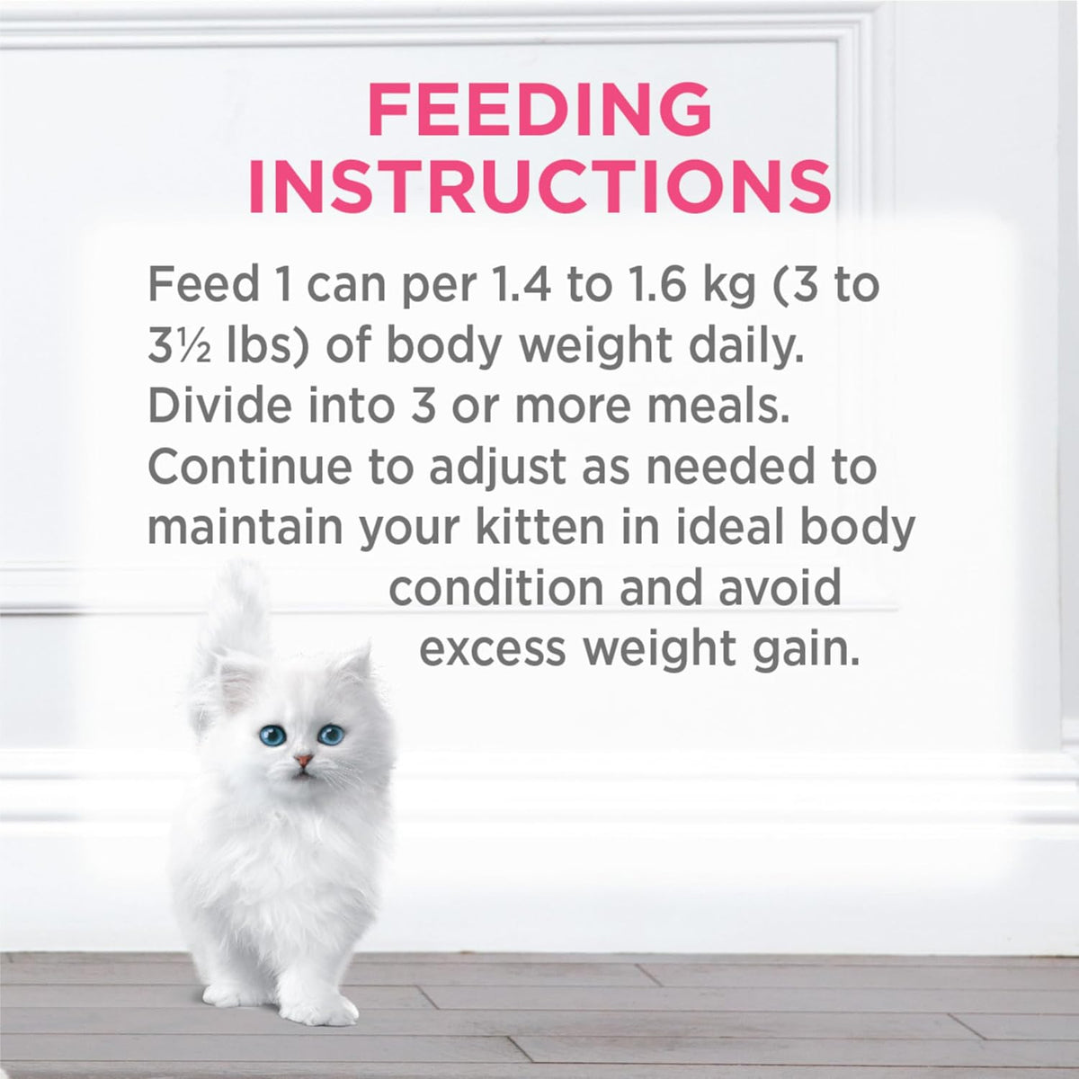 Wet Kitten Food Variety Pack 2 Flavours - 85 G (12 Pack)