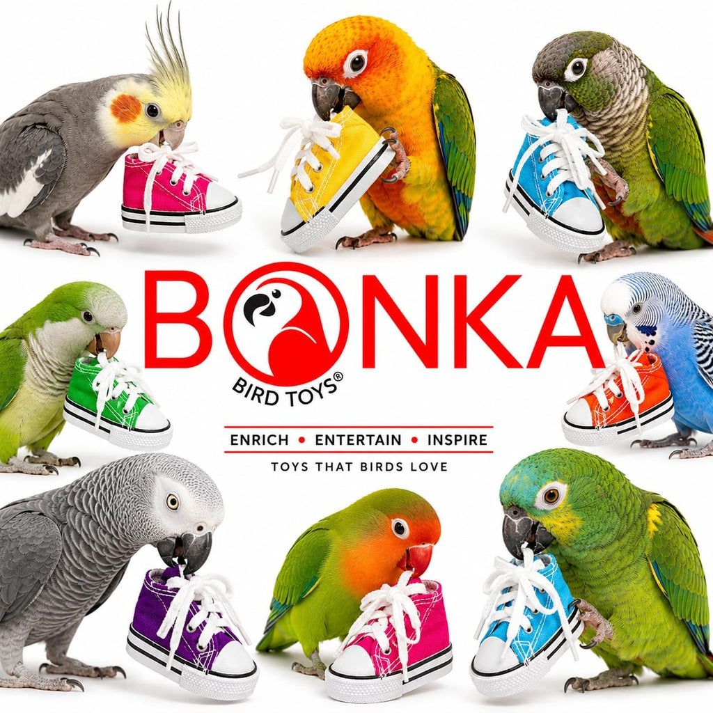 6 Mini Sneaker Bird Toy Parrot Craft Cage Craft Toys Cages Small Dog,Cat Pet Cockatiel,African Grey,Cockatoo