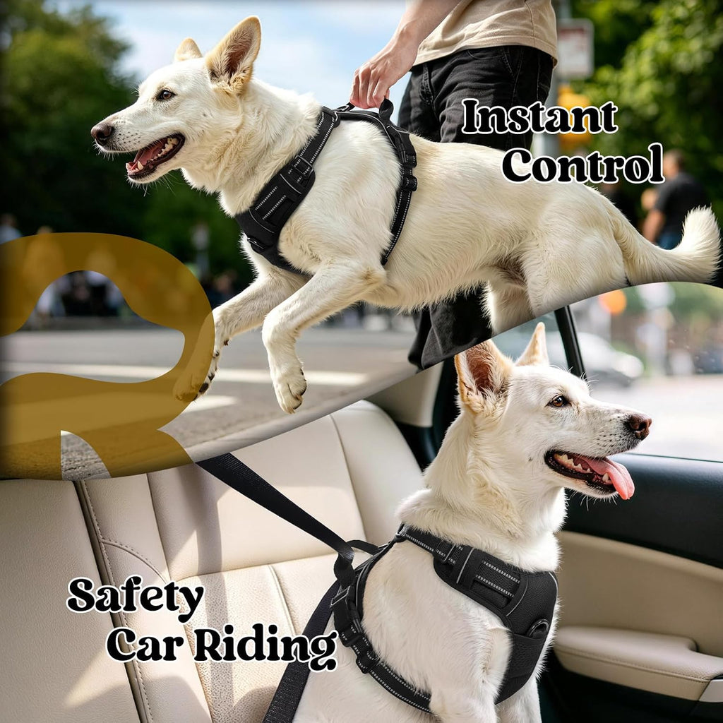 Dog Harness, No Pull for Large Dogs with 2 Leash Clips, Pet Vest