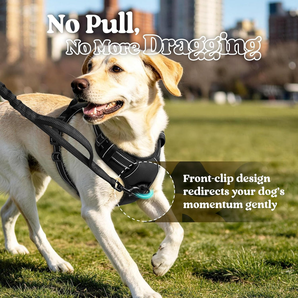 Dog Harness, No Pull for Large Dogs with 2 Leash Clips, Pet Vest