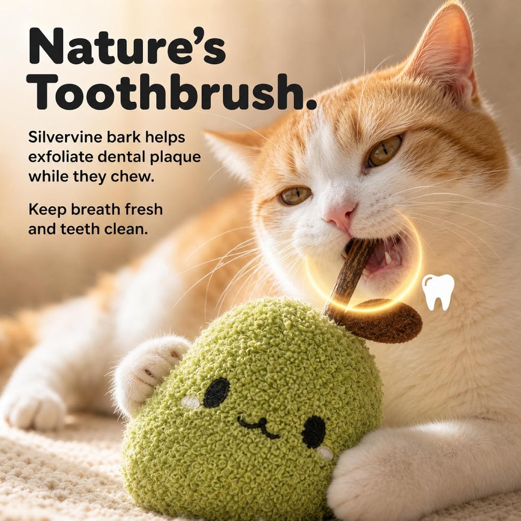 Cat Plush Toy [6000Mg A+Natural Catnip & Silvervine] with Teething Stick Soft Catnip Toy for Kitten Chewing Carrying & Cuddling 1 Pack (Pear Green)