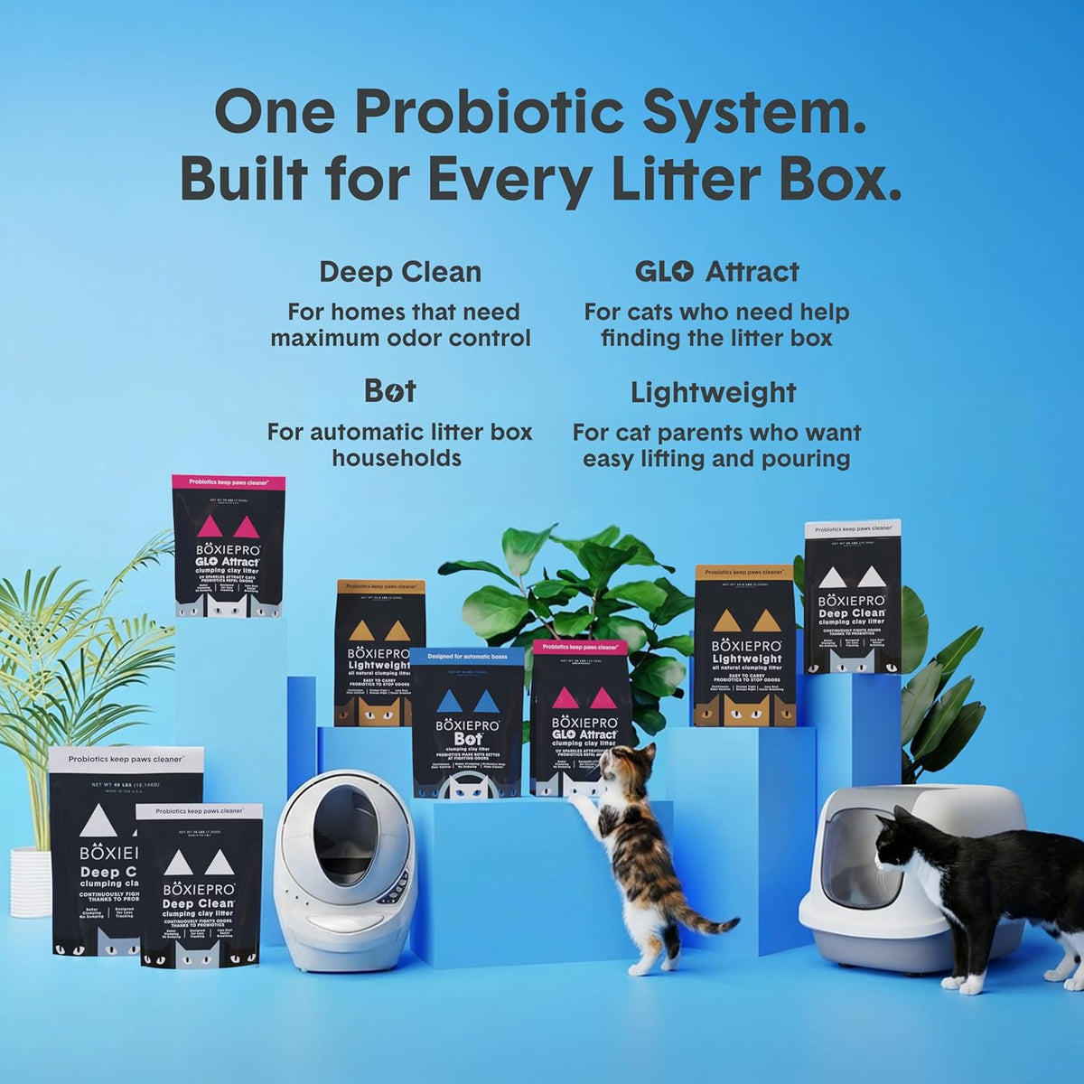 Boxie Probiotic Clumping Cat Litter 40 Day Odour Control Low Dust 28 Lb