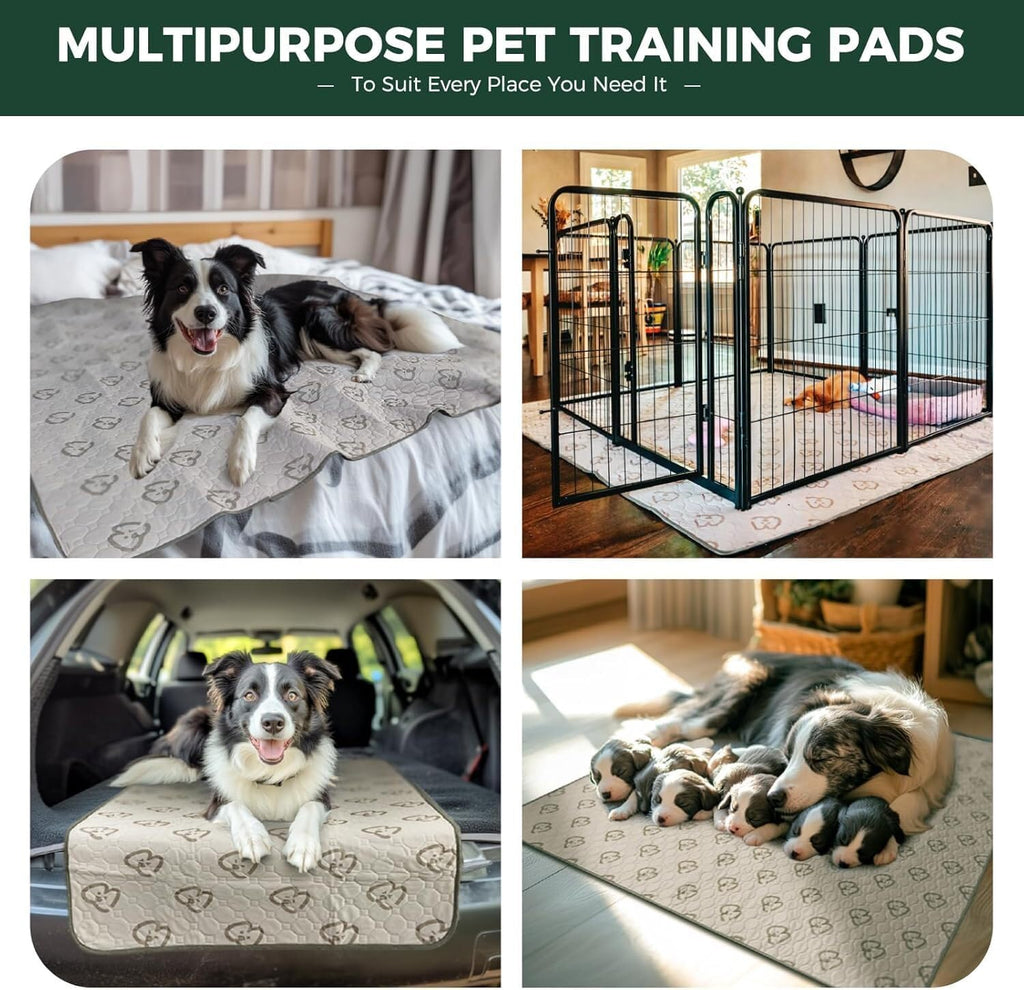 Washable Pee Pads for Dogs, Super Absorbent, 63" Square, Khaki, 1 Pack