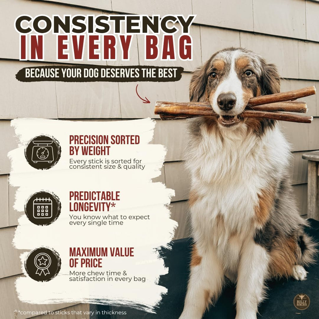 Premium (6" Standard - 5 Pack) Odour-Free, Consistently Sized Bully Sticks for Small & Medium Dogs & Puppies, Long-Lasting Oral Care Chews, All-Natural Single-Ingredient Beef, No Rawhide