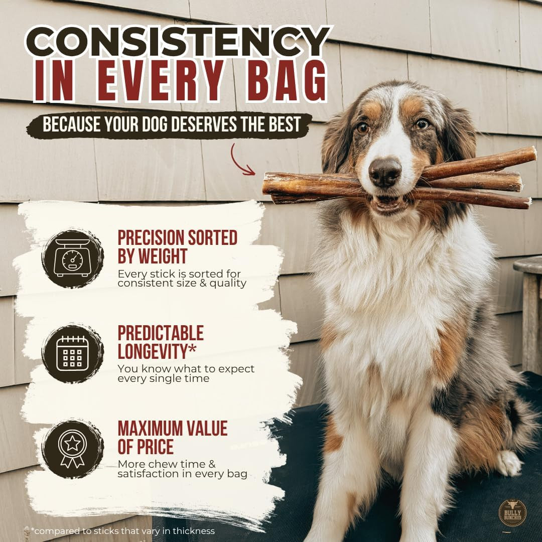 Premium (6" Standard - 5 Pack) Odour-Free, Consistently Sized Bully Sticks for Small & Medium Dogs & Puppies, Long-Lasting Oral Care Chews, All-Natural Single-Ingredient Beef, No Rawhide