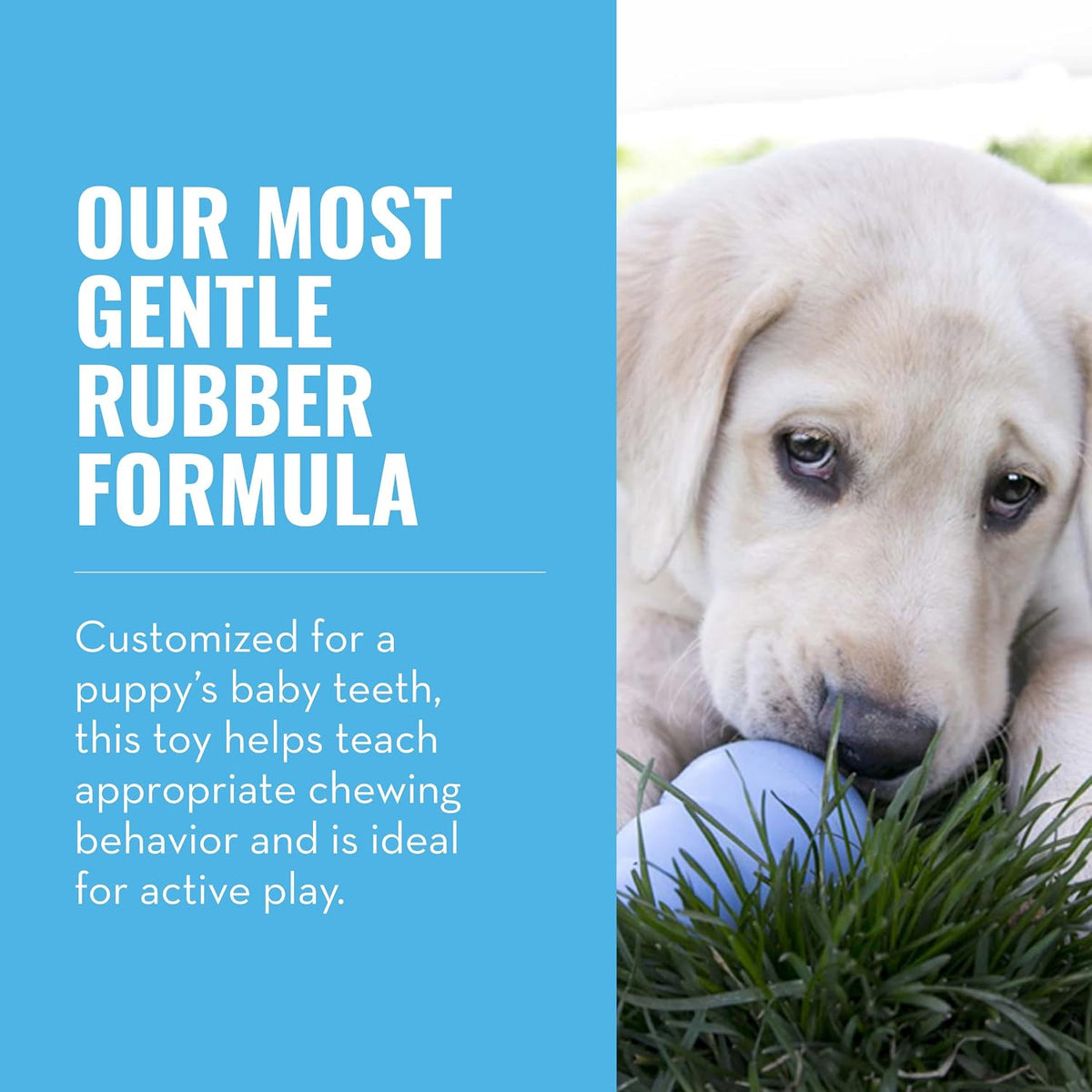 Puppy Toy Natural Teething Rubber -Fun to Chew, Chase & Fetch- for Medium Puppies (Color May Vary)