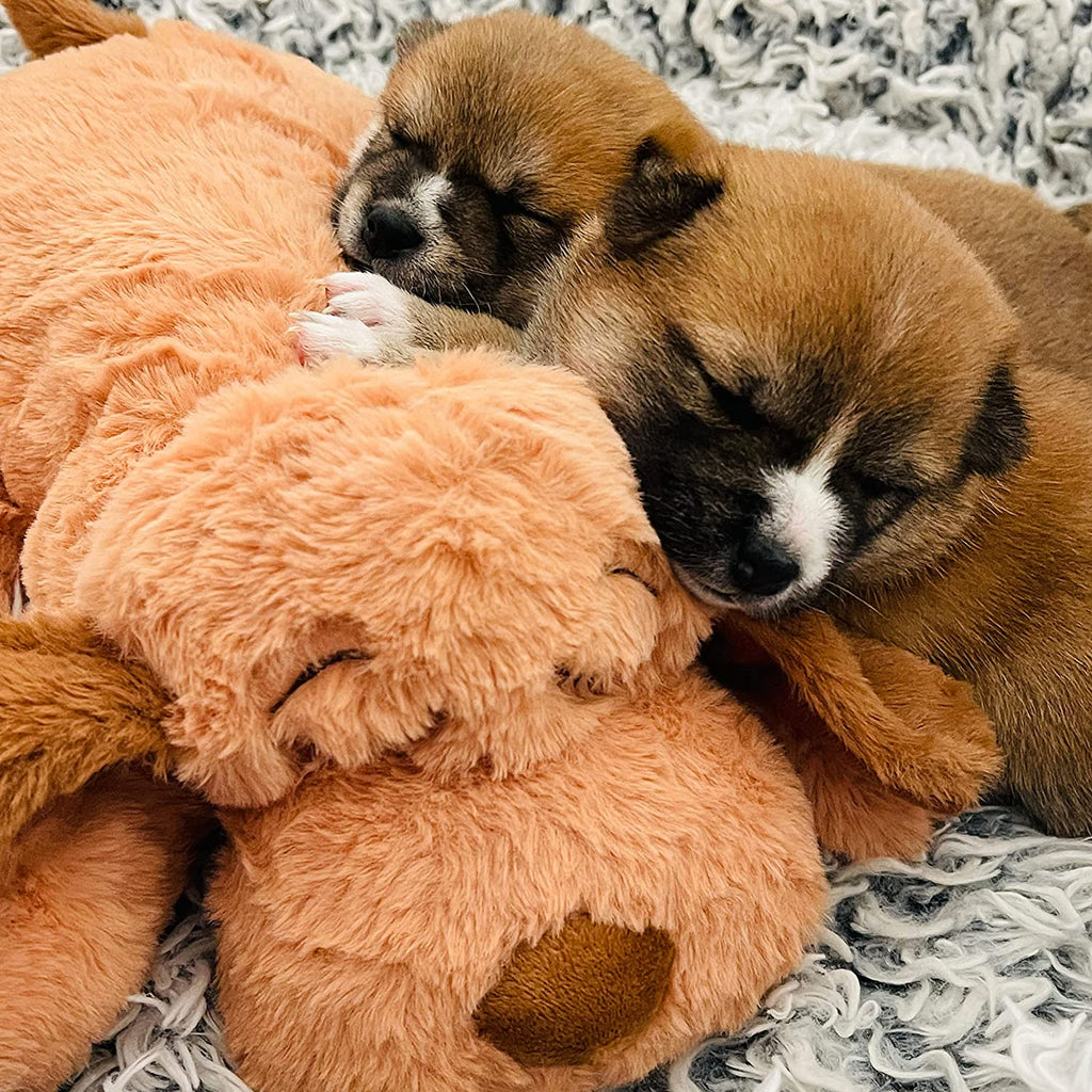 Snuggle Puppy Original Heartbeat Puppy Toy with Real-Feel Pulse & Heat Pack, Plush Dog Comfort Toy for Crate Training, First Nights & New Puppy Transition - Biscuit