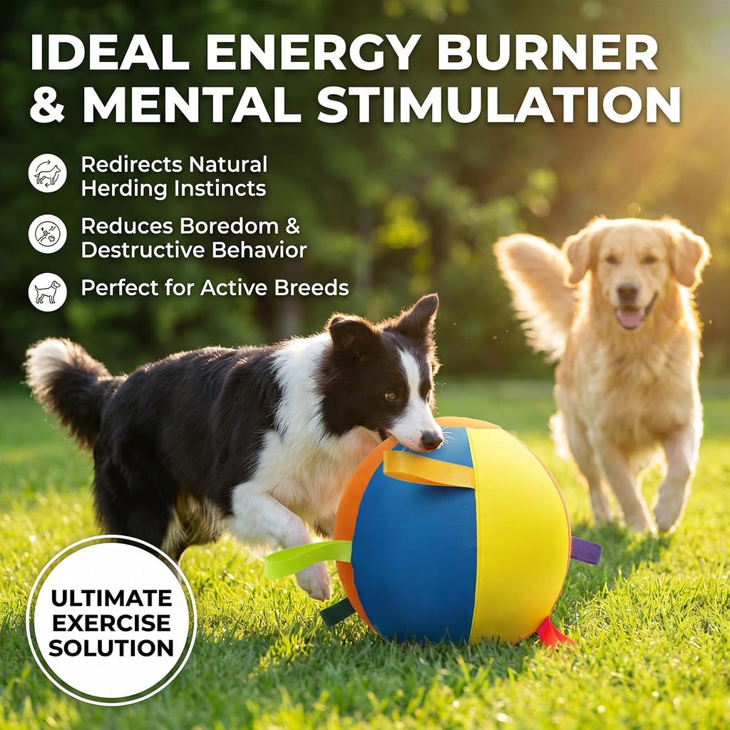 Herding Balls for Dogs 18" Inflatable Herding Ball Large with 5 Handles Indestructible Balls for Australian Shepherd and Border Collie Giant Dog Ball for Medium and Large Breeds with Pump