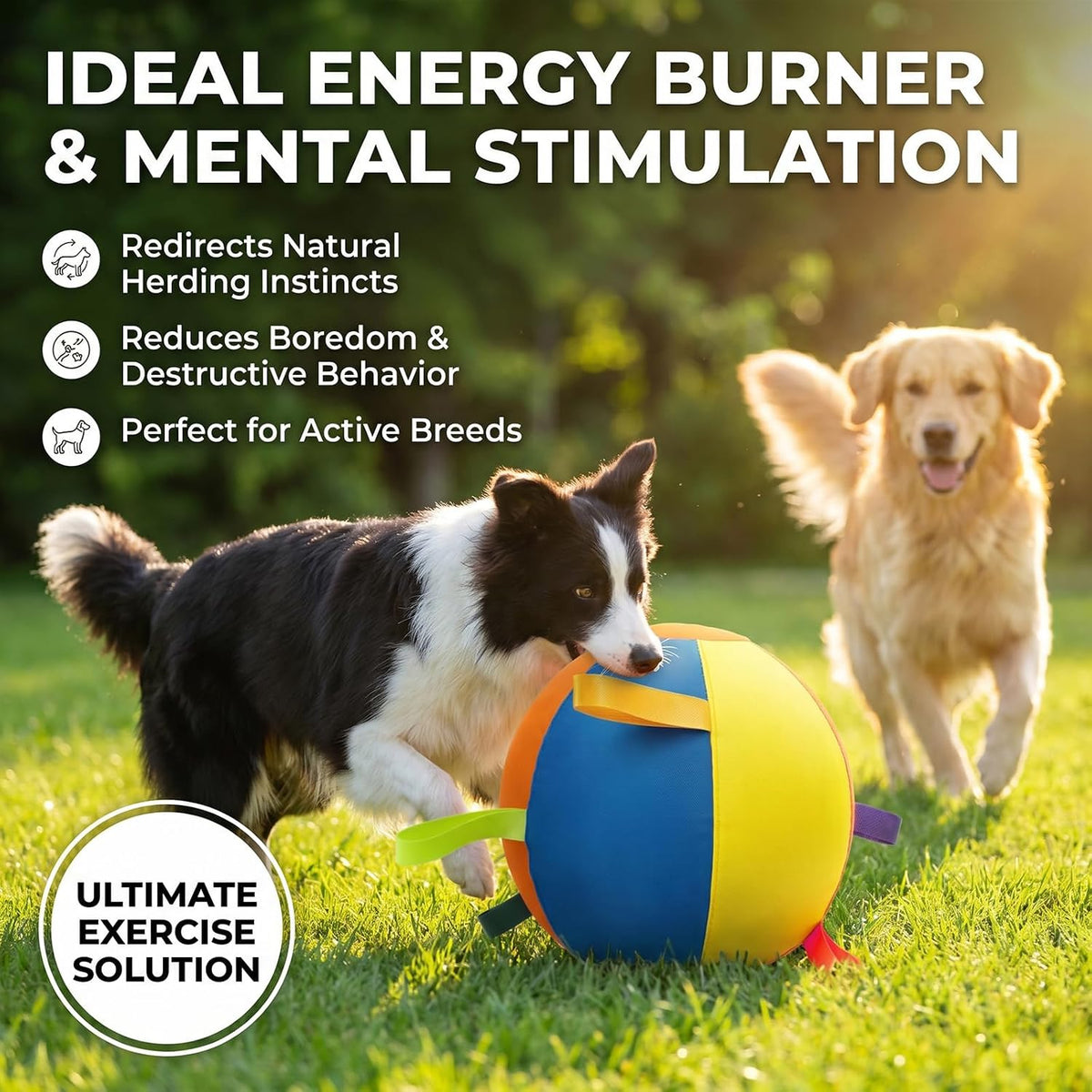 Herding Balls for Dogs 18" Inflatable Herding Ball Large with 5 Handles Indestructible Balls for Australian Shepherd and Border Collie Giant Dog Ball for Medium and Large Breeds with Pump