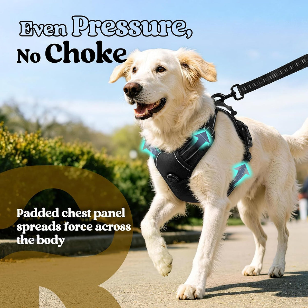 Dog Harness, No Pull for Large Dogs with 2 Leash Clips, Pet Vest