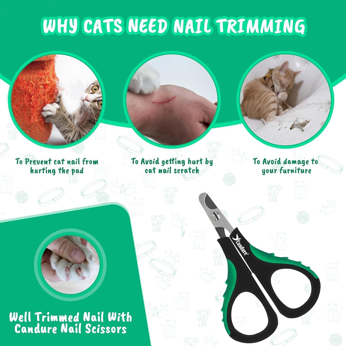 Cat Nail Clippers Stainless Steel Cat Claw Trimmers for Rabbits,Guinea Pigs, Birds, Puppies, Kittens and Small Animals- Pet Nail Clippers for Professional and Home Use (Black)