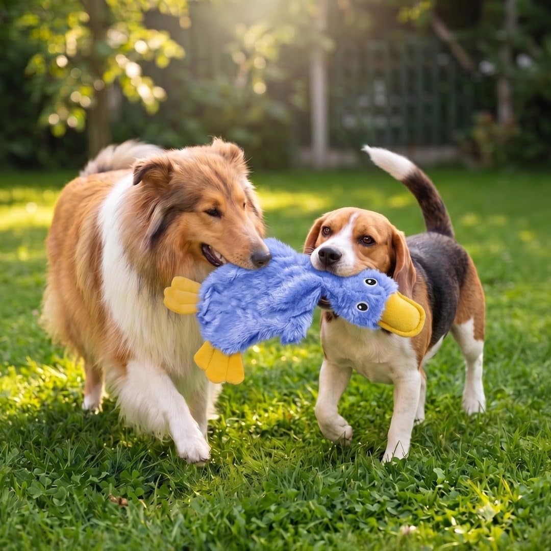 Crinkle Dog Toy for Small, Medium, and Large Breeds, Cute No Stuffing Duck with Soft Squeaker, Fun for Indoor Puppies and Senior Pups, Plush No Mess Chew and Play - Blue