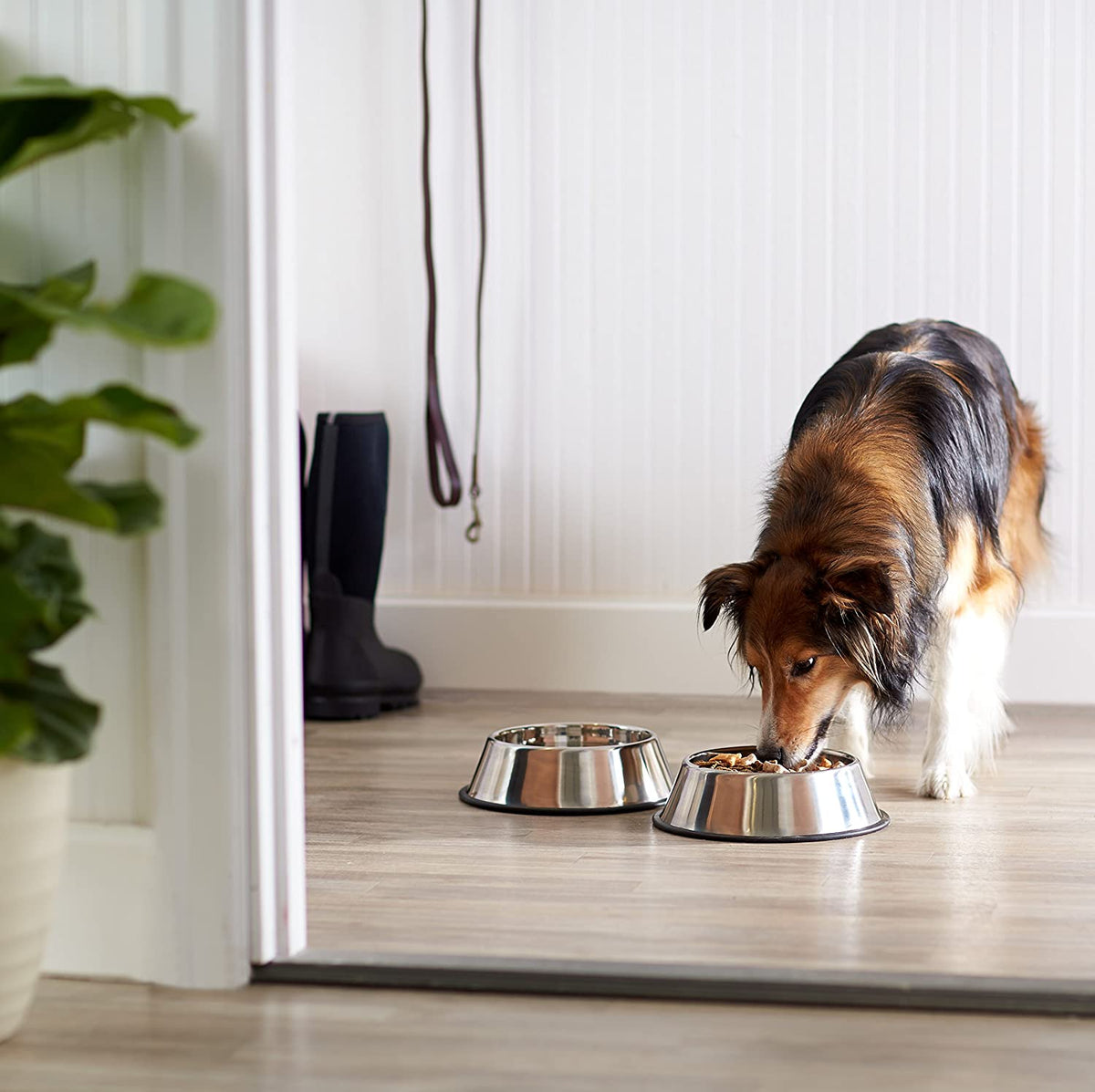 Stainless Steel Non-Skid Pet Dog Water and Food Bowl, 2-Pack (25.9Cm X 7Cm), Each Holds up to 1.15L