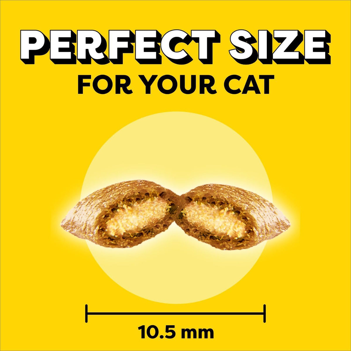 Adult Cat Treats, Chicken Flavour, 454G Tub