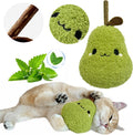 Cat Plush Toy [6000Mg A+Natural Catnip & Silvervine] with Teething Stick Soft Catnip Toy for Kitten Chewing Carrying & Cuddling 1 Pack (Pear Green)