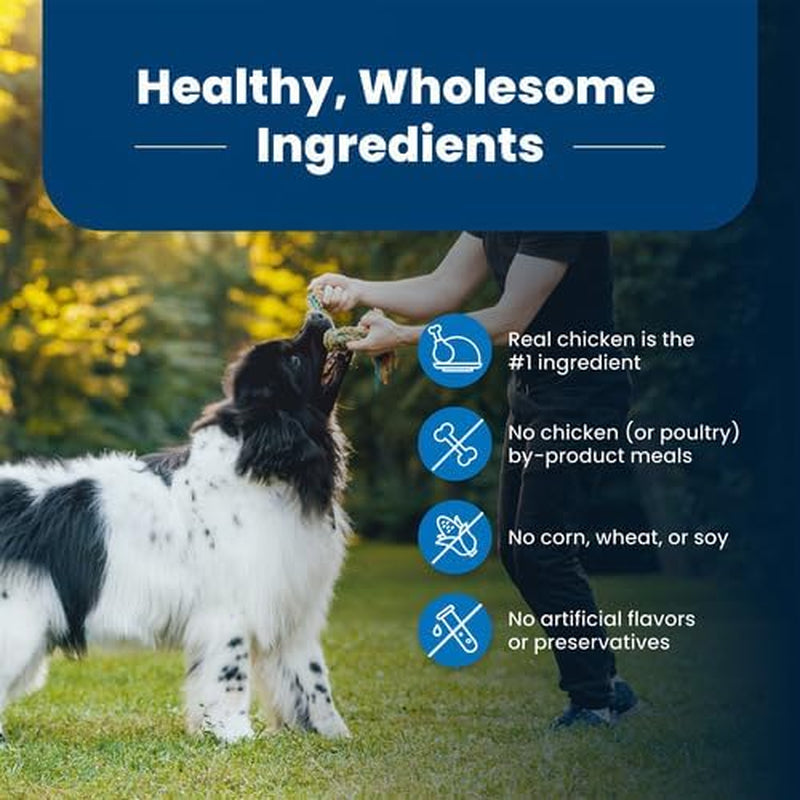 Life Protection Formula Chicken & Brown Rice Adult Dry Dog Food, Supports Immunity with Antioxidant-Rich Lifesource Bits, Promotes Healthy Muscle Development, 11.7Kg/26Lbs