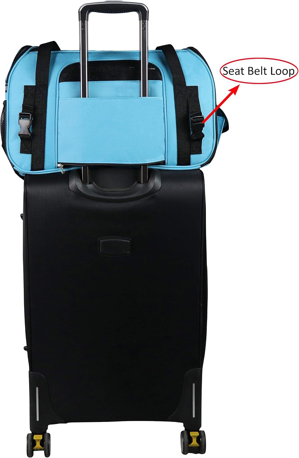 Soft-Sided Pet Carrier for Cats & Small Dogs (3-Year Warranty)