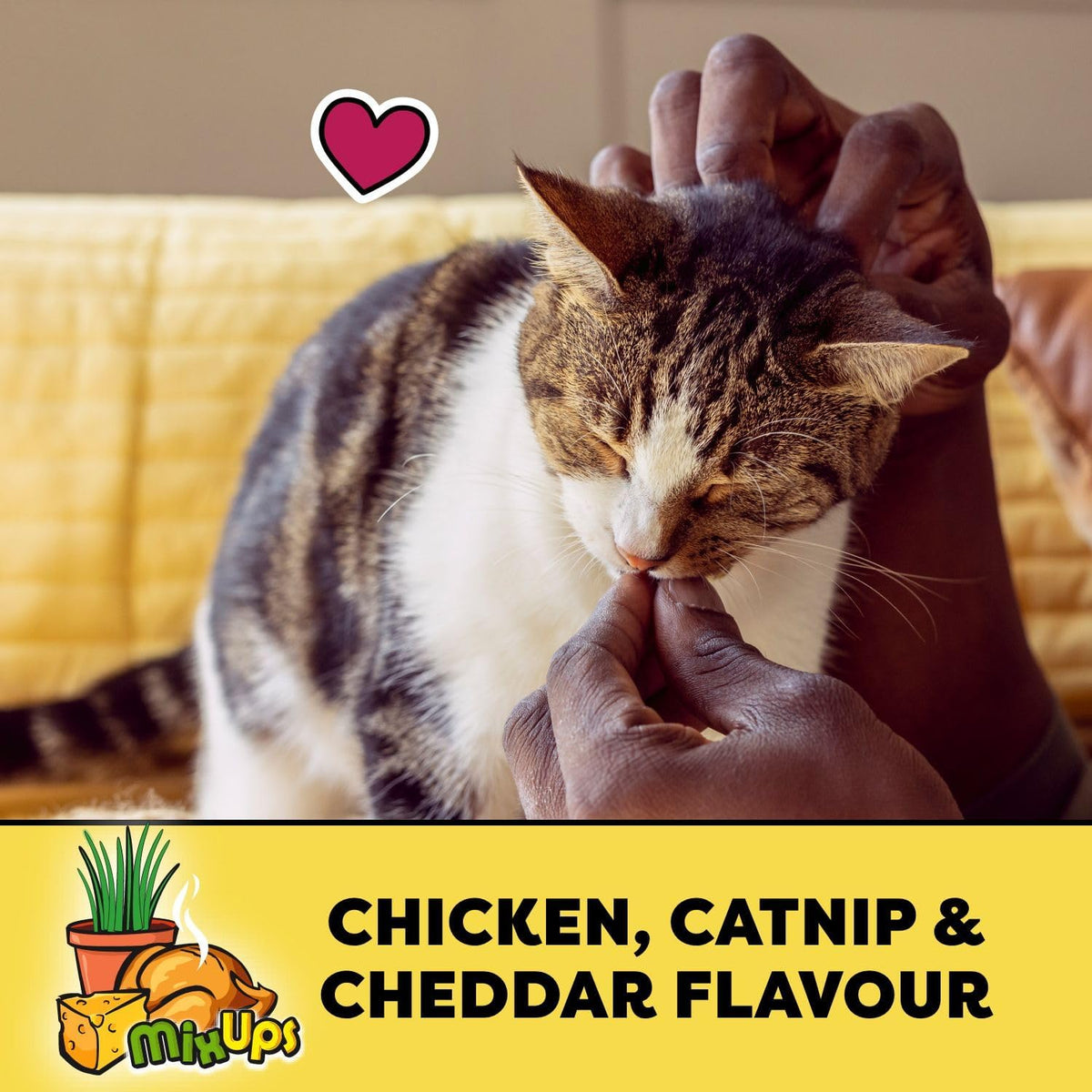 Mix-Ups Cat Treats, Chicken, Cheddar & Catnip Flavour, 454G Tub