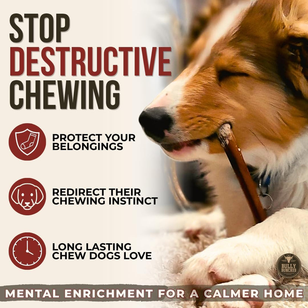 Premium (6" Standard - 5 Pack) Odour-Free, Consistently Sized Bully Sticks for Small & Medium Dogs & Puppies, Long-Lasting Oral Care Chews, All-Natural Single-Ingredient Beef, No Rawhide