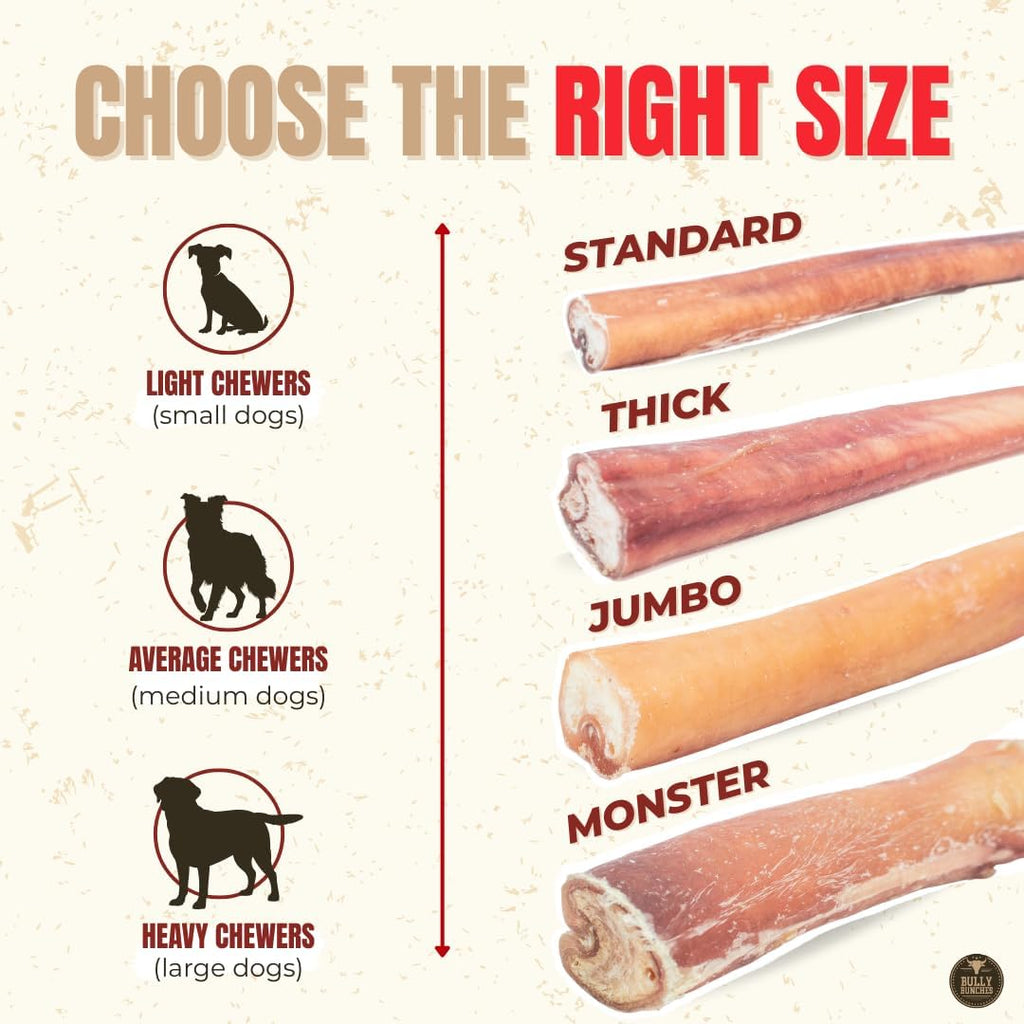 Premium (6" Standard - 5 Pack) Odour-Free, Consistently Sized Bully Sticks for Small & Medium Dogs & Puppies, Long-Lasting Oral Care Chews, All-Natural Single-Ingredient Beef, No Rawhide