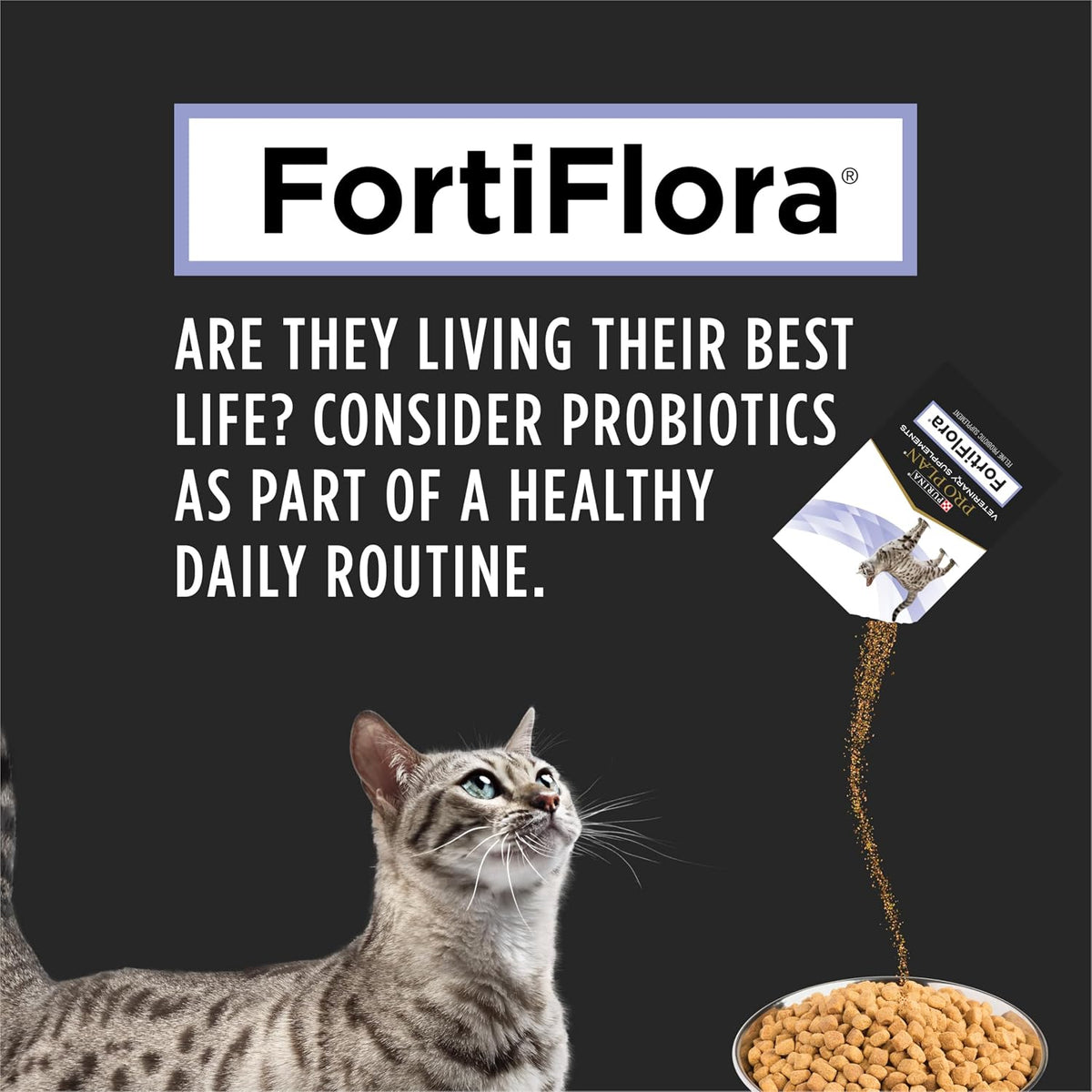 Purina Pro Plan Veterinary Supplements Fortiflora Powdered Cat Probiotics - 30 G Sachets (Pack of 30)