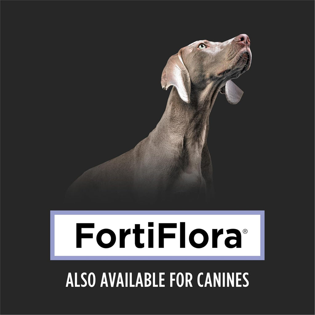 Purina Pro Plan Veterinary Supplements Fortiflora Powdered Cat Probiotics - 30 G Sachets (Pack of 30)