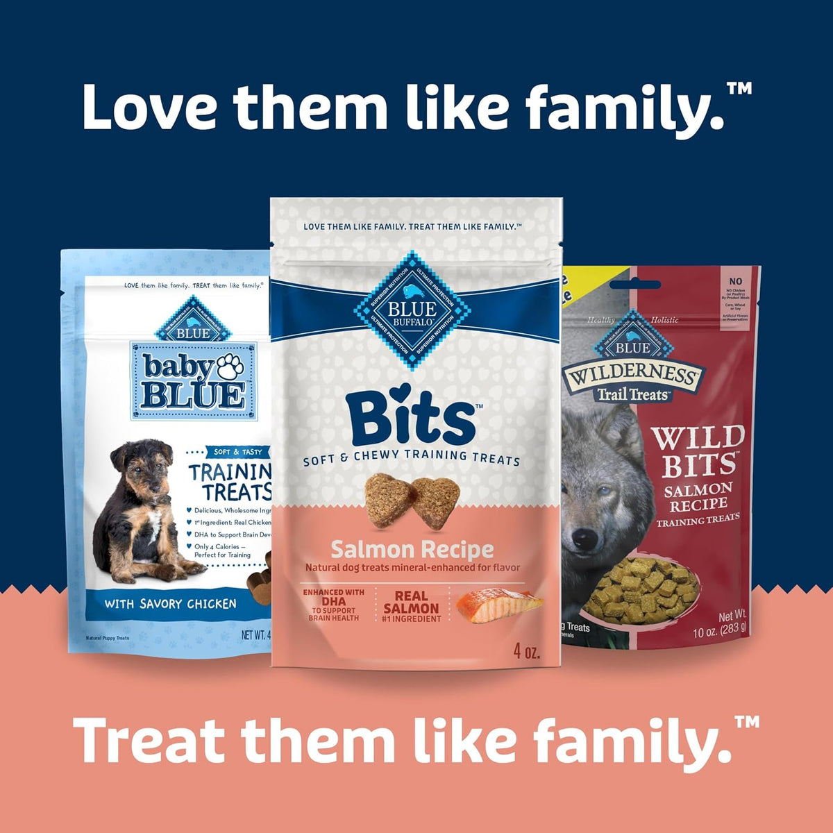 Bits Natural Dog Treats, Salmon, 4Oz (Pack of 1)