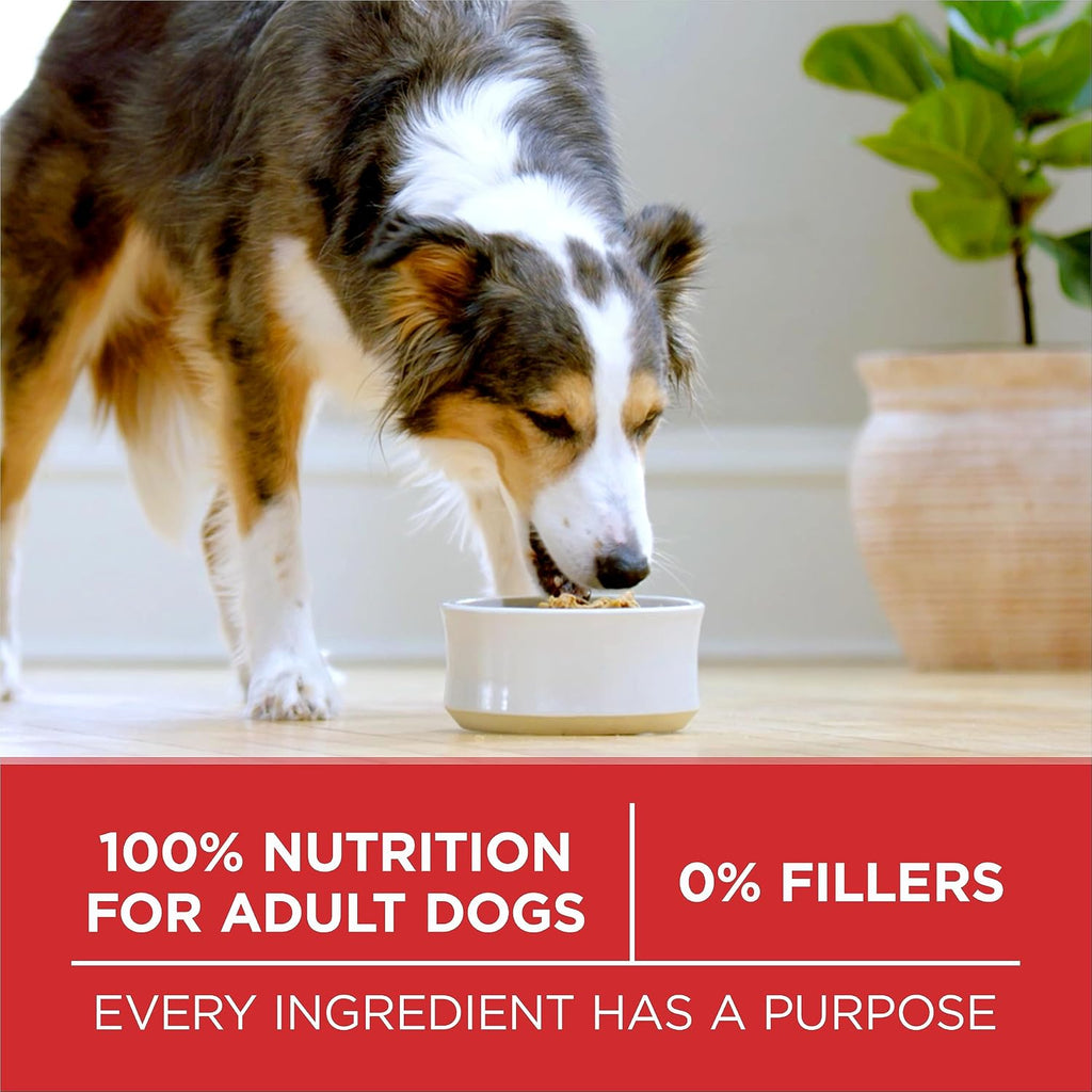 Dry Dog Food, Microbiome Balance with Lamb & Rice 14Kg
