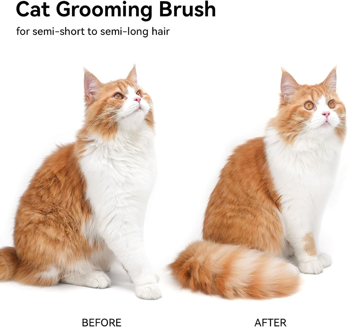 Cat Brush Dog Brush for Shedding, Cat Brushes for Long or Short Haired Cats, Dog Hair Brush Cat Grooming Brush Cat Comb Cat Deshedding Brush Easily Removes Mats, Tangles, and Loose Fur, White
