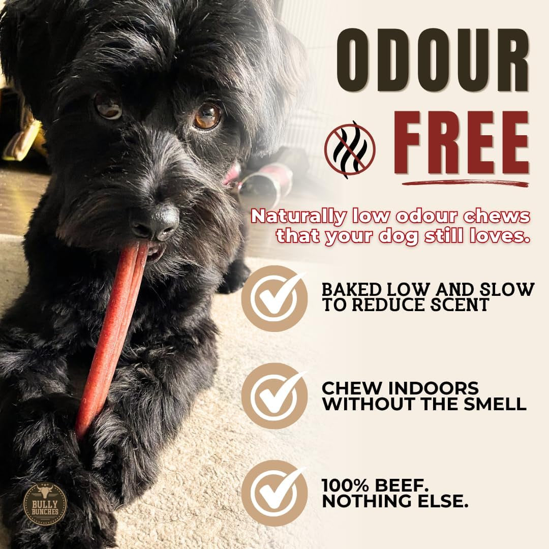 Premium (6" Standard - 5 Pack) Odour-Free, Consistently Sized Bully Sticks for Small & Medium Dogs & Puppies, Long-Lasting Oral Care Chews, All-Natural Single-Ingredient Beef, No Rawhide