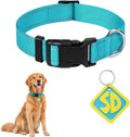 Dog Halloween Costume, Dog Tag with Nylon Adjustable Collar for Dogs - L