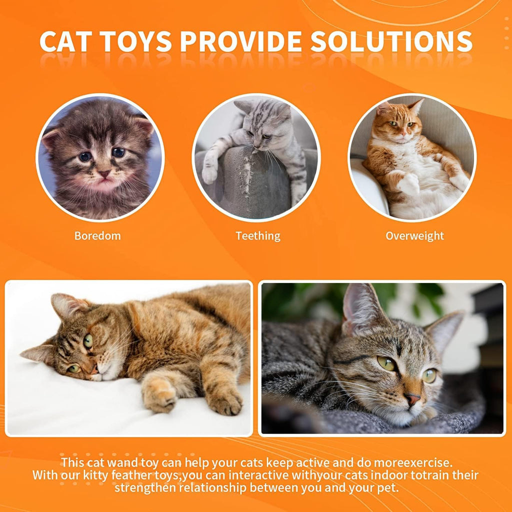 Cat Feather Toys, Cat Toys Wand, Interactive Cat Toy with Super Suction Cup, 2 PCS Cat Wand Toy and 6 PCS Feather Replacements with Bell, Interactive Cat Toy Kitten Toys for Indoor Play Chase Exercise (Natural)