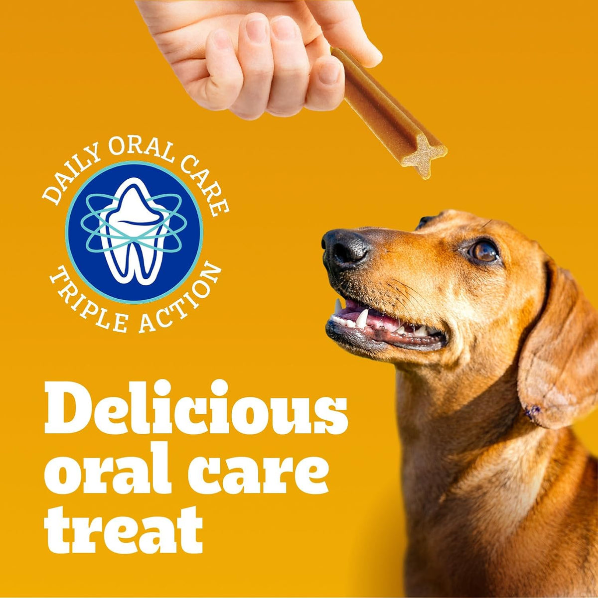 DENTASTIX Medium Dog Dental Treats Original, 40 Sticks 972G