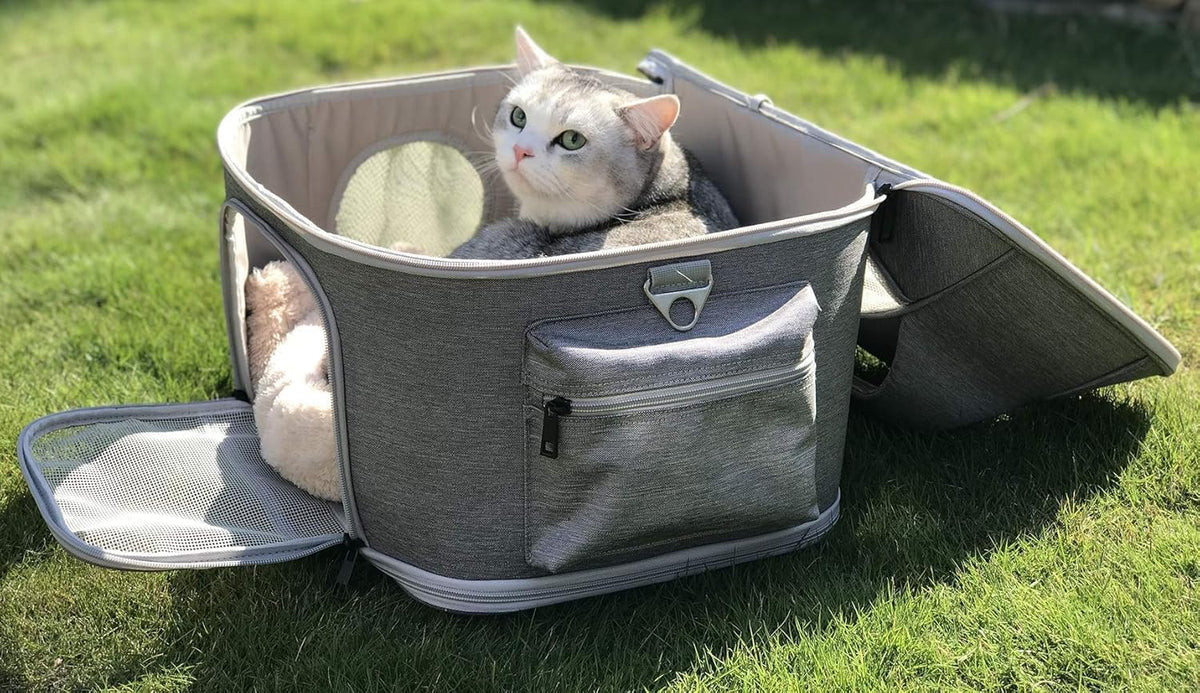 Large Pet Carrier for Cat and Small Dog, Fits 20 Lbs Fat Cat, Soft-Sided Pet Travel Carrier, Cat Bed (Green)