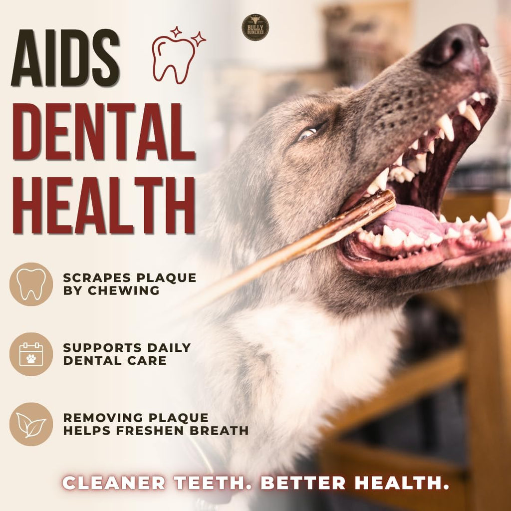 Premium (6" Standard - 5 Pack) Odour-Free, Consistently Sized Bully Sticks for Small & Medium Dogs & Puppies, Long-Lasting Oral Care Chews, All-Natural Single-Ingredient Beef, No Rawhide