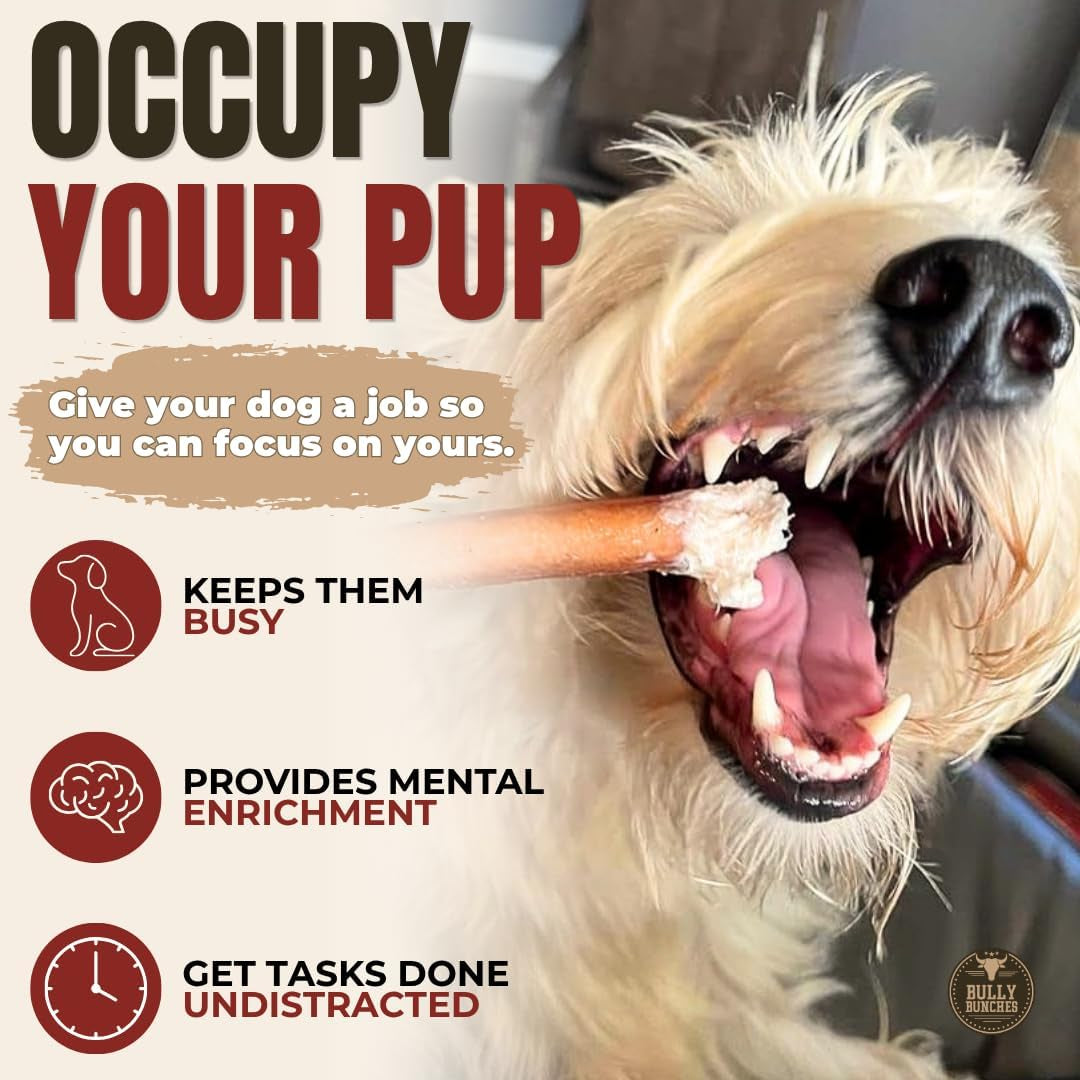 Premium (6" Standard - 5 Pack) Odour-Free, Consistently Sized Bully Sticks for Small & Medium Dogs & Puppies, Long-Lasting Oral Care Chews, All-Natural Single-Ingredient Beef, No Rawhide