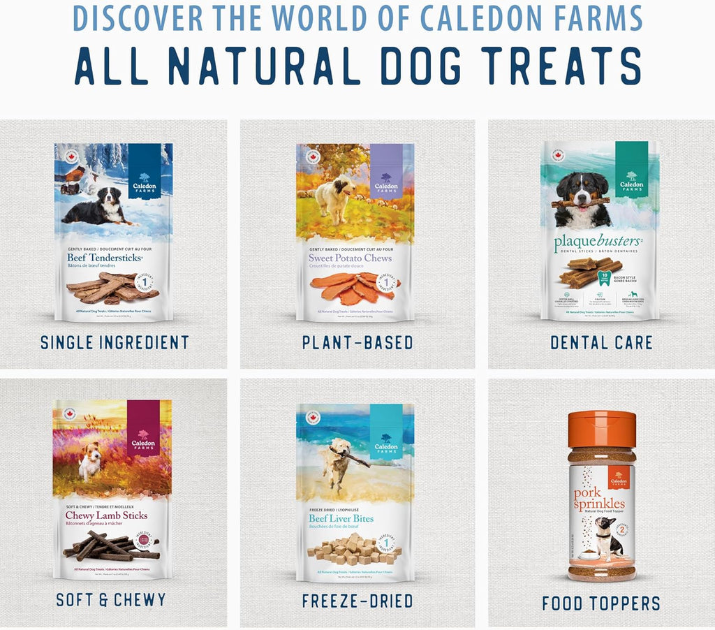 , Value Pack Freeze Dried Beef Liver Bites, 355 G, Dog Treats