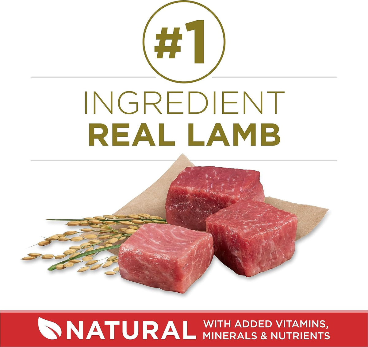 Dry Dog Food, Microbiome Balance with Lamb & Rice 14Kg