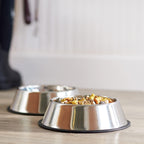 Stainless Steel Non-Skid Pet Dog Water and Food Bowl, 2-Pack (25.9Cm X 7Cm), Each Holds up to 1.15L