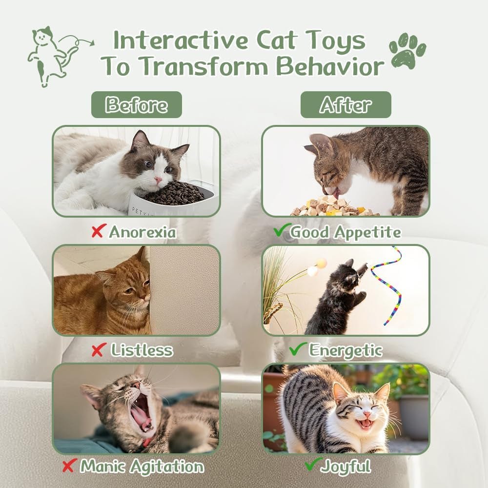40-Pack Cat Toys for Indoor Cats & Kittens, Interactive Cat Toy
