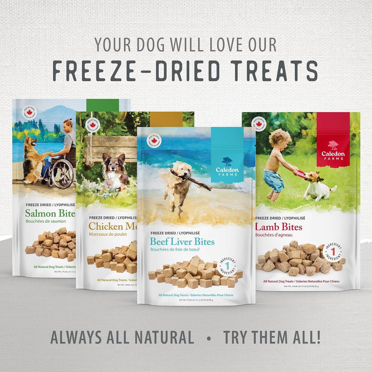 , Value Pack Freeze Dried Beef Liver Bites, 355 G, Dog Treats