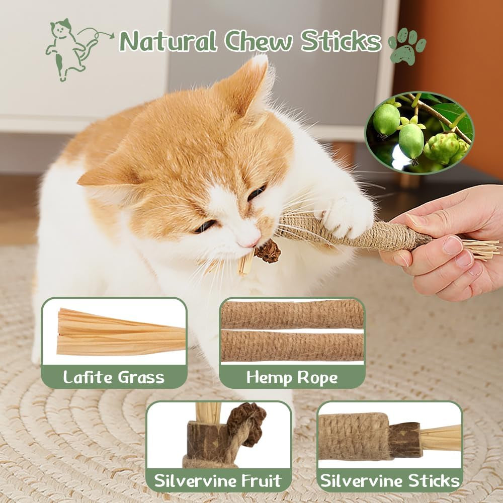 40-Pack Cat Toys for Indoor Cats & Kittens, Interactive Cat Toy