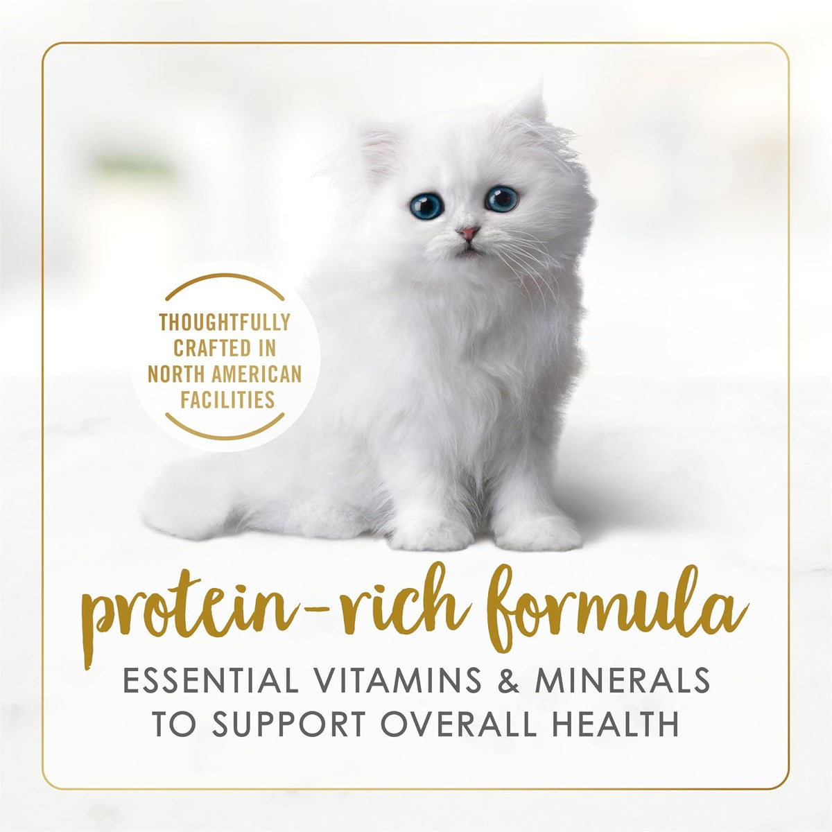 Wet Kitten Food Variety Pack 2 Flavours - 85 G (12 Pack)